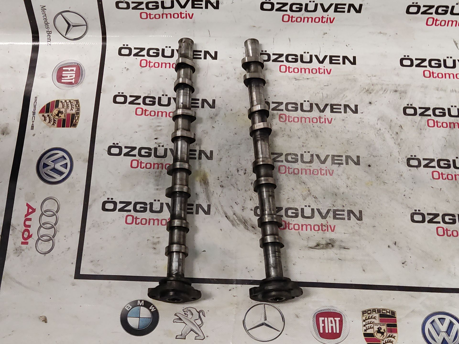 Ford Transit v184 Egzantrik Mili