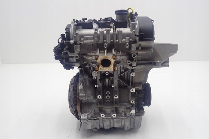 Volkswagen Polo 1.0 Tsı Dkr Sandık Motor